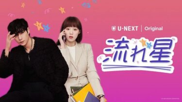 全話一挙解説!韓国ドラマ『流れ星』あらすじとキャストや全体の感想