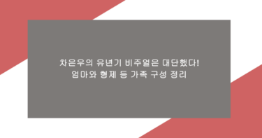차은우의 유년기 비주얼은 대단했다! 엄마와 형제 등 가족 구성 정리