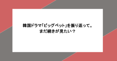 韓国ドラマ「ビッグベット」を振り返って。まだ続きが見たい？